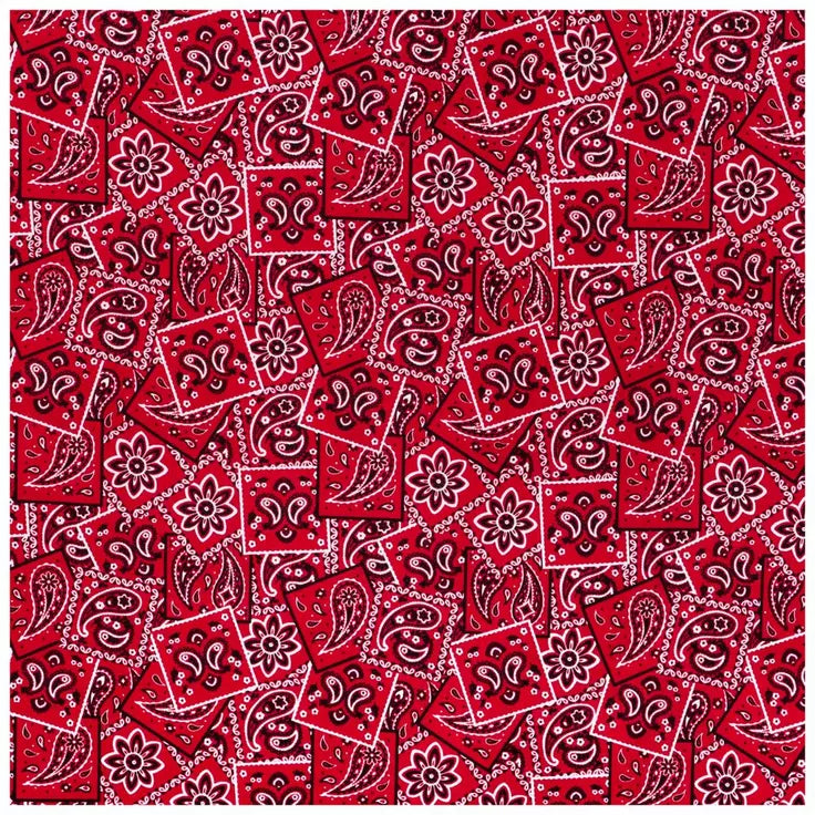 Beeswax Food Wrap - Red Bandana