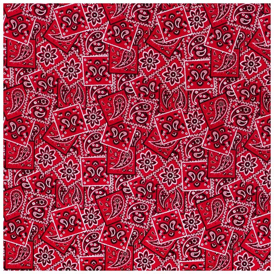 Beeswax Food Wrap - Red Bandana