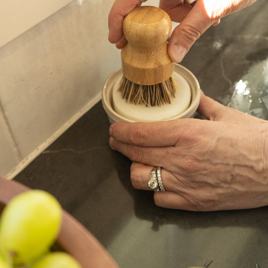 Solid Dish Soap Set- Lavender Lemon