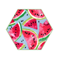 Reusable Paper Towels - Watermelon